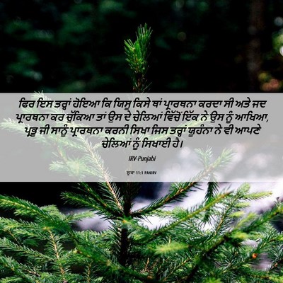 Picture 06 - ਲੂਕਾ 11:1 PANIRV - ਫਿਰ ਇਸ ਤਰ੍ਹਾਂ ਹੋਇਆ - Bible Verse Picture