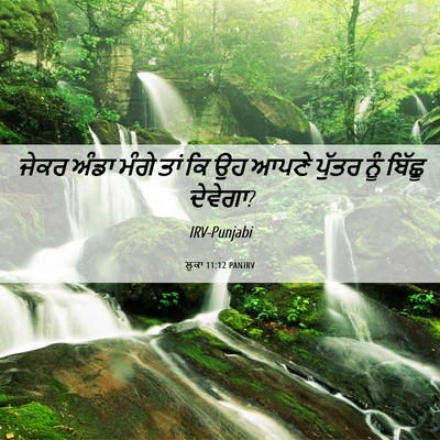Picture 06 - ਲੂਕਾ 11:12 PANIRV - ਜੇਕਰ ਅੰਡਾ ਮੰਗੇ ਤਾਂ - Bible Verse Picture