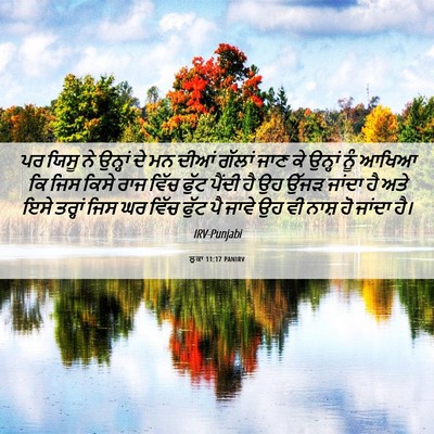 Picture 06 - ਲੂਕਾ 11:17 PANIRV - ਪਰ ਯਿਸੂ ਨੇ ਉਨ੍ਹਾਂ - Bible Verse Picture