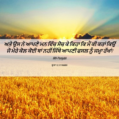 Picture 06 - ਲੂਕਾ 12:17 PANIRV - ਅਤੇ ਉਸ ਨੇ ਆਪਣੇ ਮਨ - Bible Verse Picture