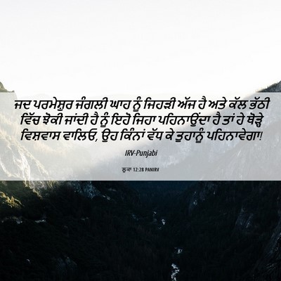 Picture 06 - ਲੂਕਾ 12:28 PANIRV - ਜਦ ਪਰਮੇਸ਼ੁਰ ਜੰਗਲੀ - Bible Verse Picture