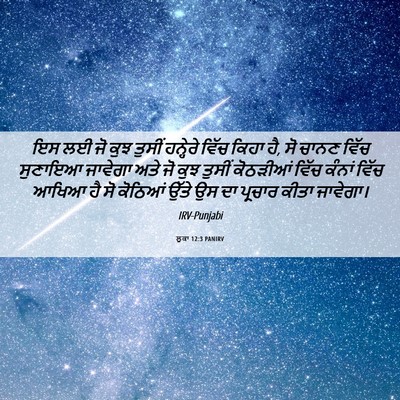 Picture 06 - ਲੂਕਾ 12:3 PANIRV - ਇਸ ਲਈ ਜੋ ਕੁਝ ਤੁਸੀਂ - Bible Verse Picture