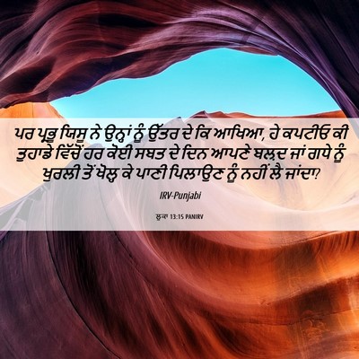 Picture 06 - ਲੂਕਾ 13:15 PANIRV - ਪਰ ਪ੍ਰਭੂ ਯਿਸੂ ਨੇ - Bible Verse Picture