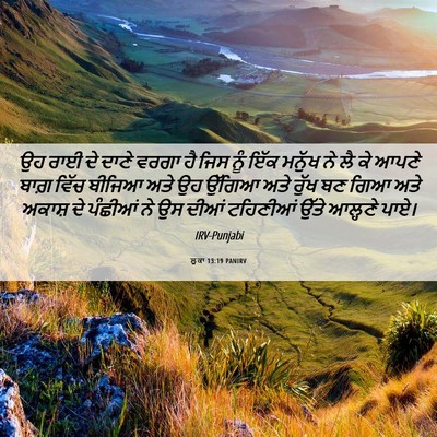 Picture 06 - ਲੂਕਾ 13:19 PANIRV - ਉਹ ਰਾਈ ਦੇ ਦਾਣੇ ਵਰਗਾ - Bible Verse Picture