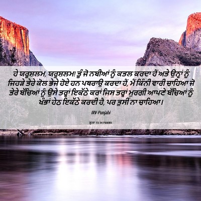 Picture 06 - ਲੂਕਾ 13:34 PANIRV - ਹੇ ਯਰੂਸ਼ਲਮ, - Bible Verse Picture
