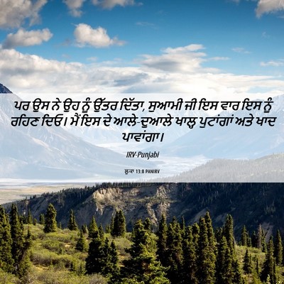 Picture 06 - ਲੂਕਾ 13:8 PANIRV - ਪਰ ਉਸ ਨੇ ਉਹ ਨੂੰ - Bible Verse Picture
