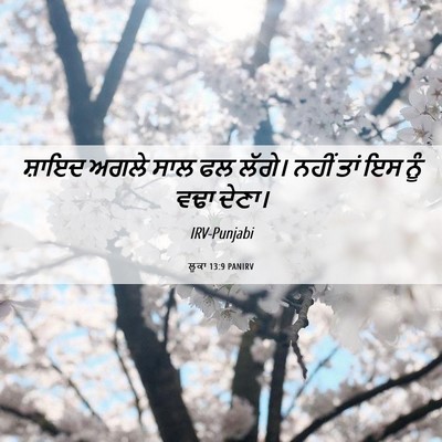Picture 06 - ਲੂਕਾ 13:9 PANIRV - ਸ਼ਾਇਦ ਅਗਲੇ ਸਾਲ ਫਲ - Bible Verse Picture