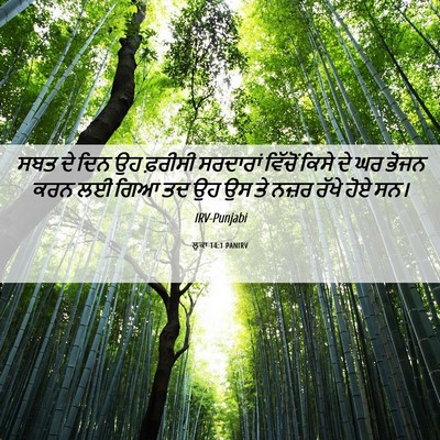 Picture 06 - ਲੂਕਾ 14:1 PANIRV - ਸਬਤ ਦੇ ਦਿਨ ਉਹ - Bible Verse Picture