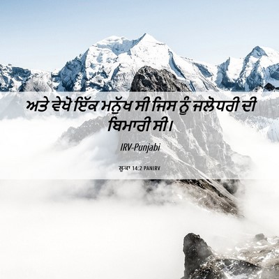Picture 06 - ਲੂਕਾ 14:2 PANIRV - ਅਤੇ ਵੇਖੋ ਇੱਕ ਮਨੁੱਖ - Bible Verse Picture