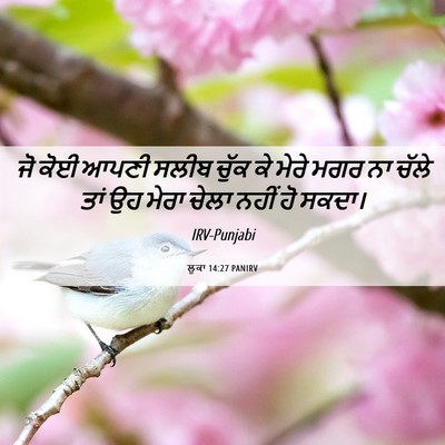 Picture 06 - ਲੂਕਾ 14:27 PANIRV - ਜੋ ਕੋਈ ਆਪਣੀ ਸਲੀਬ - Bible Verse Picture