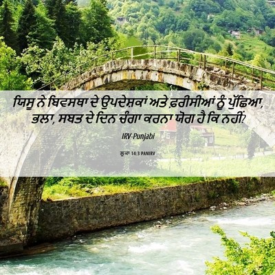 Picture 06 - ਲੂਕਾ 14:3 PANIRV - ਯਿਸੂ ਨੇ ਬਿਵਸਥਾ ਦੇ - Bible Verse Picture