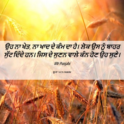 Picture 06 - ਲੂਕਾ 14:35 PANIRV - ਉਹ ਨਾ ਖੇਤ, ਨਾ ਖਾਦ ਦੇ - Bible Verse Picture