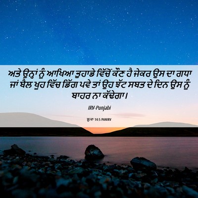 Picture 06 - ਲੂਕਾ 14:5 PANIRV - ਅਤੇ ਉਨ੍ਹਾਂ ਨੂੰ - Bible Verse Picture