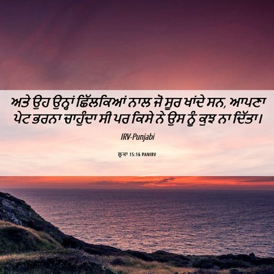 Picture 06 - ਲੂਕਾ 15:16 PANIRV - ਅਤੇ ਉਹ ਉਨ੍ਹਾਂ - Bible Verse Picture