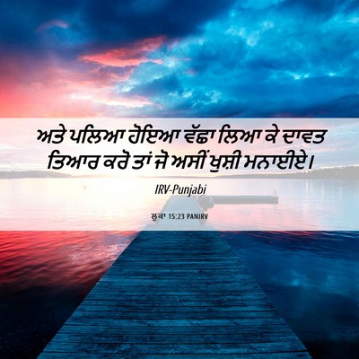 Picture 06 - ਲੂਕਾ 15:23 PANIRV - ਅਤੇ ਪਲਿਆ ਹੋਇਆ ਵੱਛਾ - Bible Verse Picture