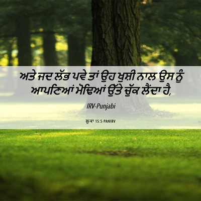 Picture 06 - ਲੂਕਾ 15:5 PANIRV - ਅਤੇ ਜਦ ਲੱਭ ਪਵੇ ਤਾਂ - Bible Verse Picture