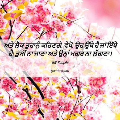 Picture 06 - ਲੂਕਾ 17:23 PANIRV - ਅਤੇ ਲੋਕ ਤੁਹਾਨੂੰ - Bible Verse Picture