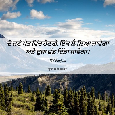Picture 06 - ਲੂਕਾ 17:36 PANIRV - ਦੋ ਜਣੇ ਖੇਤ ਵਿੱਚ - Bible Verse Picture