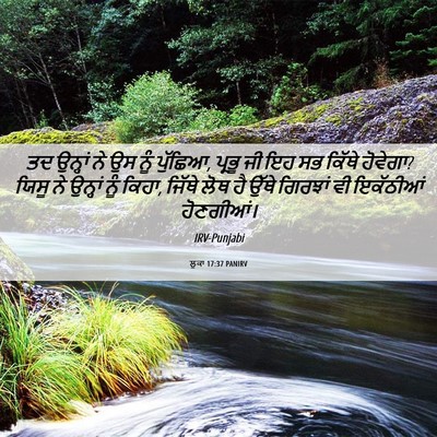Picture 06 - ਲੂਕਾ 17:37 PANIRV - ਤਦ ਉਨ੍ਹਾਂ ਨੇ ਉਸ ਨੂੰ - Bible Verse Picture