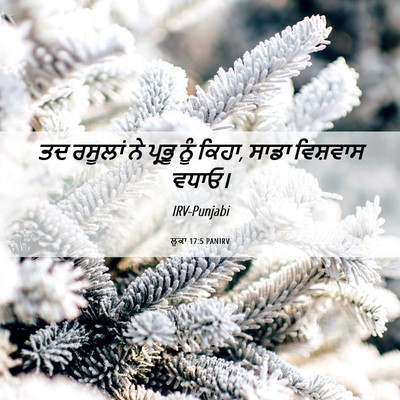 Picture 06 - ਲੂਕਾ 17:5 PANIRV - ਤਦ ਰਸੂਲਾਂ ਨੇ ਪ੍ਰਭੂ - Bible Verse Picture
