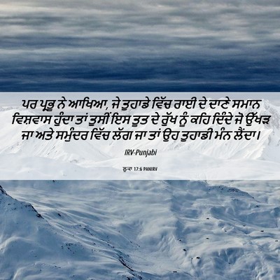 Picture 06 - ਲੂਕਾ 17:6 PANIRV - ਪਰ ਪ੍ਰਭੂ ਨੇ ਆਖਿਆ, - Bible Verse Picture