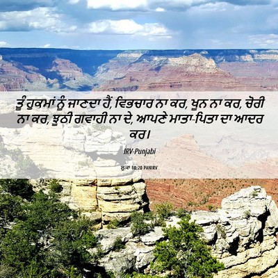 Picture 06 - ਲੂਕਾ 18:20 PANIRV - ਤੂੰ ਹੁਕਮਾਂ ਨੂੰ - Bible Verse Picture