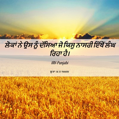 Picture 06 - ਲੂਕਾ 18:37 PANIRV - ਲੋਕਾਂ ਨੇ ਉਸ ਨੂੰ - Bible Verse Picture