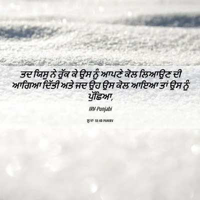 Picture 06 - ਲੂਕਾ 18:40 PANIRV - ਤਦ ਯਿਸੂ ਨੇ ਰੁੱਕ ਕੇ - Bible Verse Picture