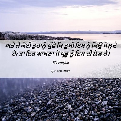 Picture 06 - ਲੂਕਾ 19:31 PANIRV - ਅਤੇ ਜੇ ਕੋਈ ਤੁਹਾਨੂੰ - Bible Verse Picture