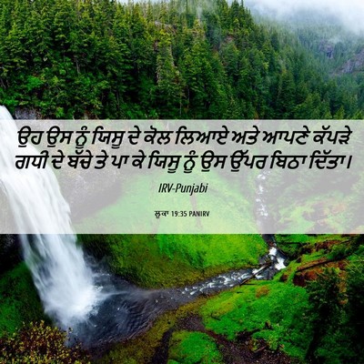Picture 06 - ਲੂਕਾ 19:35 PANIRV - ਉਹ ਉਸ ਨੂੰ ਯਿਸੂ ਦੇ - Bible Verse Picture