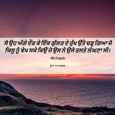 Picture 06 - ਲੂਕਾ 19:4 PANIRV - ਸੋ ਉਹ ਅੱਗੇ ਦੌੜ ਕੇ - Bible Verse Picture