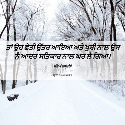 Picture 06 - ਲੂਕਾ 19:6 PANIRV - ਤਾਂ ਉਹ ਛੇਤੀ ਉੱਤਰ - Bible Verse Picture