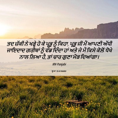 Picture 06 - ਲੂਕਾ 19:8 PANIRV - ਤਦ ਜ਼ੱਕੀ ਨੇ ਖੜ੍ਹੇ - Bible Verse Picture