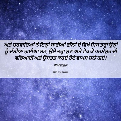 Picture 06 - ਲੂਕਾ 2:20 PANIRV - ਅਤੇ ਚਰਵਾਹਿਆਂ ਨੇ - Bible Verse Picture