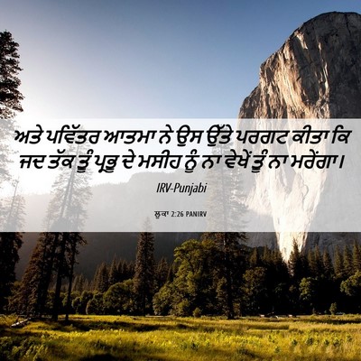 Picture 06 - ਲੂਕਾ 2:26 PANIRV - ਅਤੇ ਪਵਿੱਤਰ ਆਤਮਾ ਨੇ - Bible Verse Picture