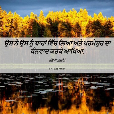 Picture 06 - ਲੂਕਾ 2:28 PANIRV - ਉਸ ਨੇ ਉਸ ਨੂੰ ਬਾਹਾਂ - Bible Verse Picture