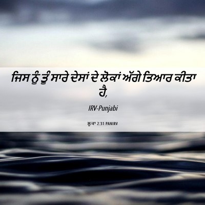 Picture 06 - ਲੂਕਾ 2:31 PANIRV - ਜਿਸ ਨੂੰ ਤੂੰ ਸਾਰੇ - Bible Verse Picture