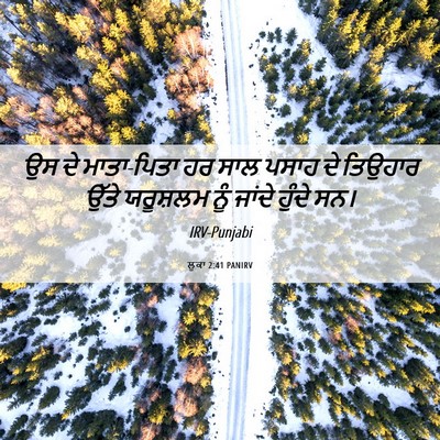 Picture 06 - ਲੂਕਾ 2:41 PANIRV - ਉਸ ਦੇ ਮਾਤਾ-ਪਿਤਾ ਹਰ - Bible Verse Picture