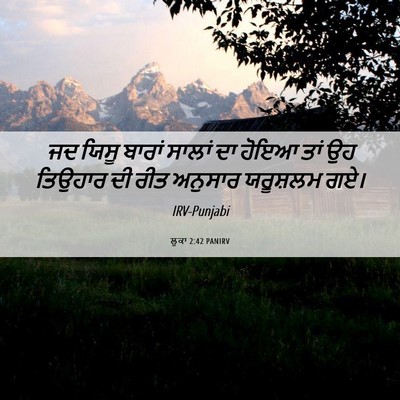Picture 06 - ਲੂਕਾ 2:42 PANIRV - ਜਦ ਯਿਸੂ ਬਾਰਾਂ - Bible Verse Picture