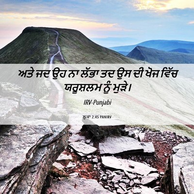 Picture 06 - ਲੂਕਾ 2:45 PANIRV - ਅਤੇ ਜਦ ਉਹ ਨਾ ਲੱਭਾ - Bible Verse Picture