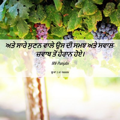 Picture 06 - ਲੂਕਾ 2:47 PANIRV - ਅਤੇ ਸਾਰੇ ਸੁਣਨ ਵਾਲੇ - Bible Verse Picture