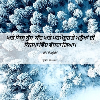 Picture 06 - ਲੂਕਾ 2:52 PANIRV - ਅਤੇ ਯਿਸੂ ਬੁੱਧ, ਕੱਦ - Bible Verse Picture