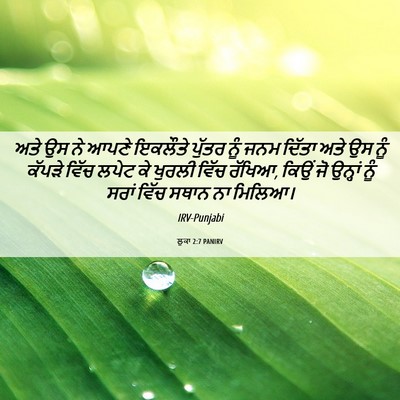 Picture 06 - ਲੂਕਾ 2:7 PANIRV - ਅਤੇ ਉਸ ਨੇ ਆਪਣੇ - Bible Verse Picture