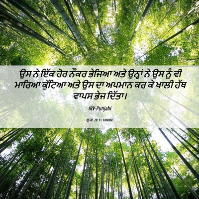 Picture 06 - ਲੂਕਾ 20:11 PANIRV - ਉਸ ਨੇ ਇੱਕ ਹੋਰ ਨੌਕਰ - Bible Verse Picture