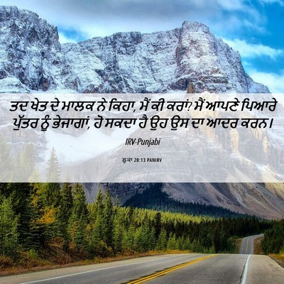 Picture 06 - ਲੂਕਾ 20:13 PANIRV - ਤਦ ਖੇਤ ਦੇ ਮਾਲਕ ਨੇ - Bible Verse Picture