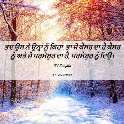 Picture 06 - ਲੂਕਾ 20:25 PANIRV - ਤਦ ਉਸ ਨੇ ਉਨ੍ਹਾਂ ਨੂੰ - Bible Verse Picture
