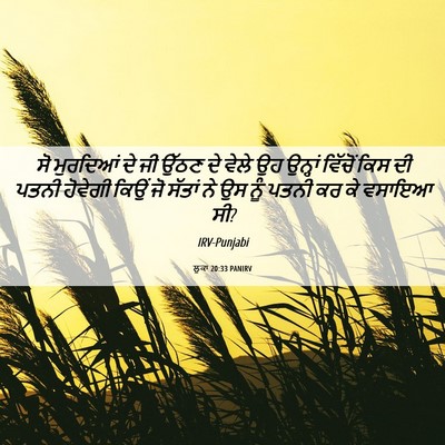 Picture 06 - ਲੂਕਾ 20:33 PANIRV - ਸੋ ਮੁਰਦਿਆਂ ਦੇ ਜੀ - Bible Verse Picture