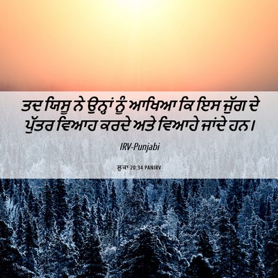 Picture 06 - ਲੂਕਾ 20:34 PANIRV - ਤਦ ਯਿਸੂ ਨੇ ਉਨ੍ਹਾਂ - Bible Verse Picture