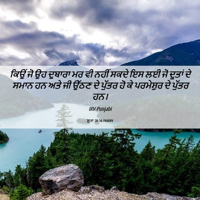 Picture 06 - ਲੂਕਾ 20:36 PANIRV - ਕਿਉਂ ਜੋ ਉਹ ਦੁਬਾਰਾ - Bible Verse Picture