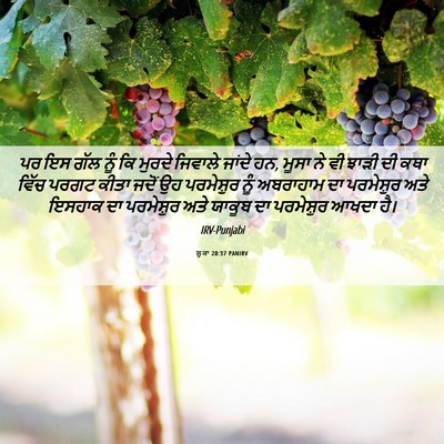 Picture 06 - ਲੂਕਾ 20:37 PANIRV - ਪਰ ਇਸ ਗੱਲ ਨੂੰ ਕਿ - Bible Verse Picture